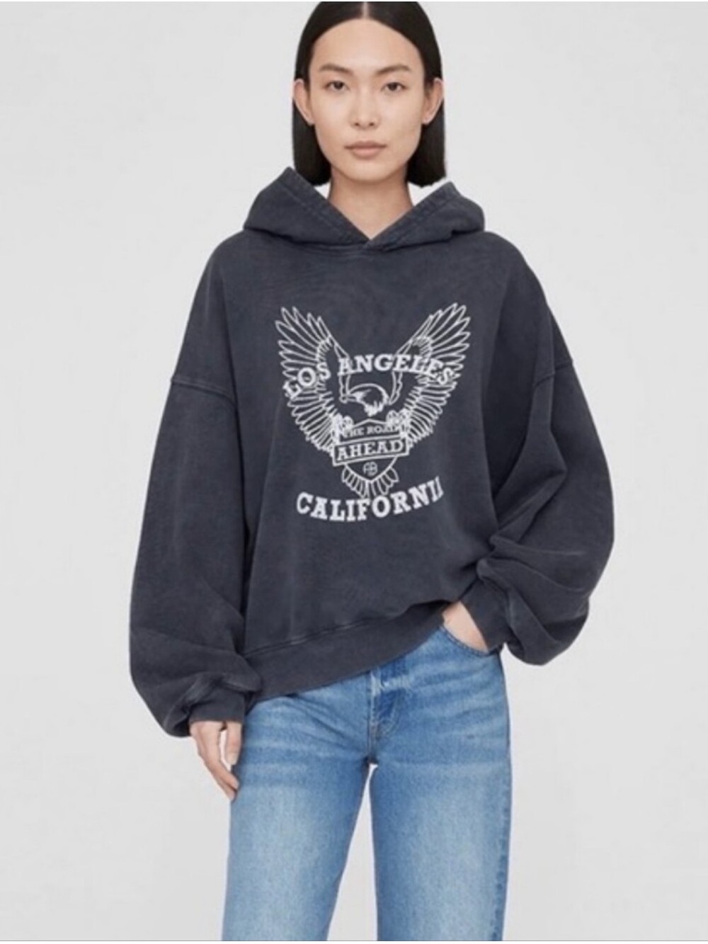 Anine Bing Alec Hoodie White Eagle